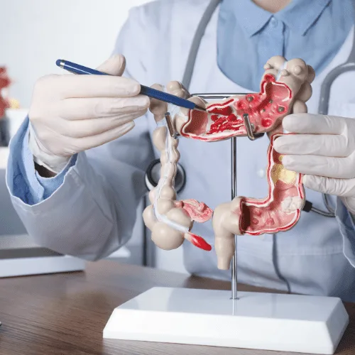 ¿Qué especialista trata los trastornos gastrointestinales?